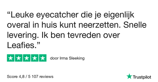 Leuke eyecatcher die je eigenlijk…